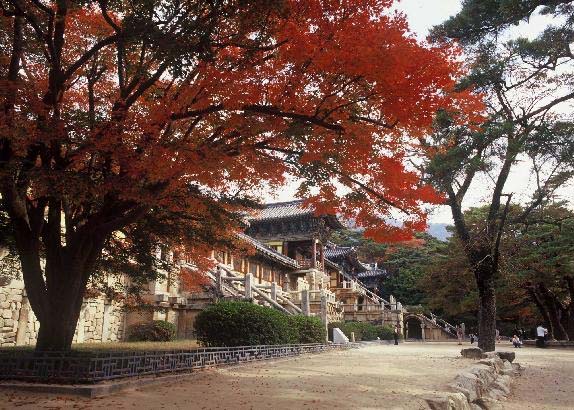 A beautiful picture from Gyeongju.