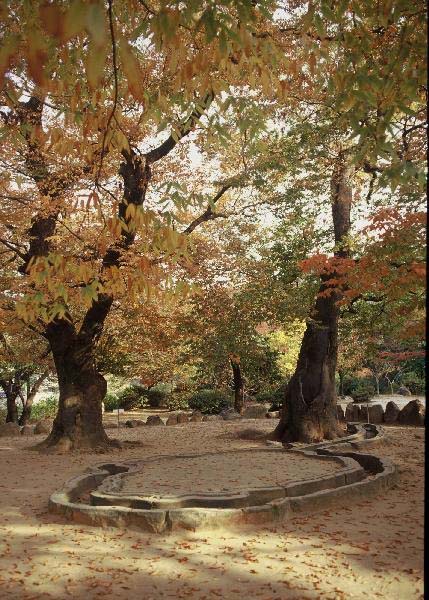 A beautiful picture from Gyeongju.